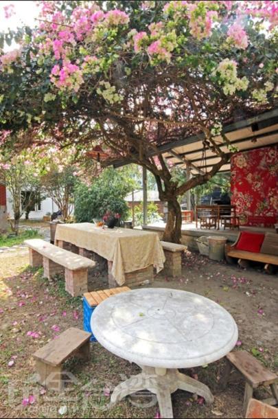 Dongguang Zhixing Homestay Jücsi Kültér fotó